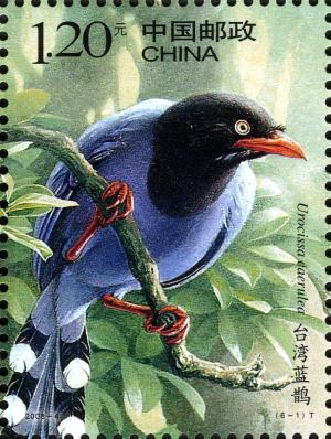 Colnect-1771-347-Taiwan-Blue-Magpie-Urocissa-caerulea.jpg