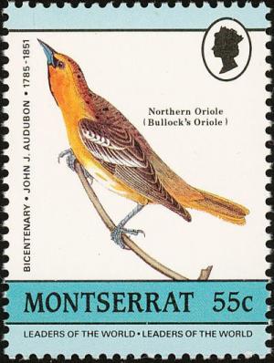 Colnect-1785-020-Bullock-s-Oriole%C2%A0Icterus-galbula-bullockii%C2%A0.jpg