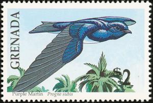 Colnect-2192-509-Purple-Martin-Progne-subis.jpg