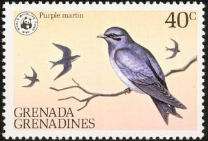 Colnect-2193-322-Purple-Martin-Progne-subis.jpg