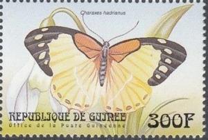 Colnect-2242-031-Hadrian-s-White-Charaxes-Charaxes-hadrianus.jpg