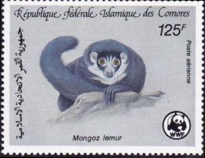 Colnect-2313-049-Mongoose-Lemur-Eulemur-mongoz.jpg