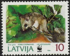 Colnect-2572-721-Edible-Dormouse-Glis-glis.jpg