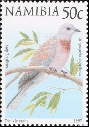 Colnect-3050-453-Laughing-Dove-Streptopelia-senegalensis.jpg