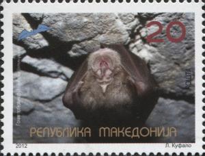 Colnect-3071-711-Greater-Horseshoe-Bat-Rhinolophus-ferrumequinum.jpg