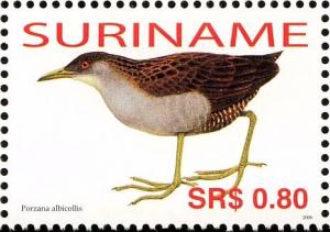 Colnect-3837-086-Ash-throated-Crake%C2%A0%C2%A0%C2%A0%C2%A0Mustelirallus-albicollis.jpg