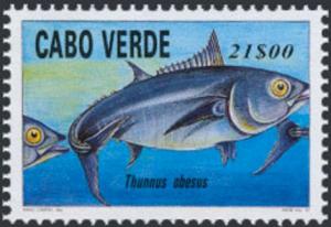 Colnect-3975-081-Bigeye-Tuna-Thunnus-obesus.jpg