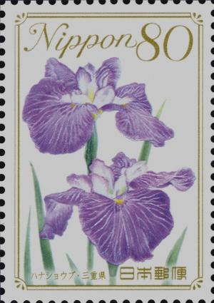 Colnect-4115-519-Japanese-Iris---Mie-Prefecture.jpg