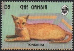 Colnect-4191-958-Tonkinese-Felis-silvestris-catus.jpg