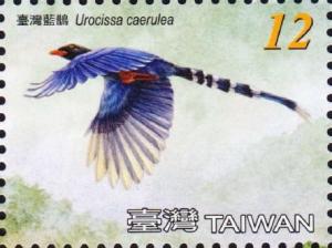 Colnect-4698-352-Taiwan-Blue-Magpie-Urocissa-caerulea.jpg