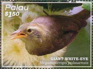 Colnect-4835-357-Giant-White-eye----Megazosterops-palauensis.jpg