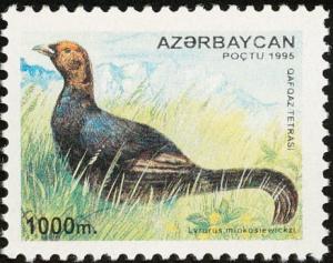 Colnect-5250-666-Caucasian-Grouse-Lyrurus-mlokosiewiczi---Male.jpg