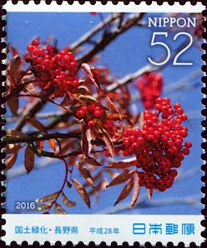 Colnect-5614-573-Japanese-Rowan-Sorbus-commixta.jpg