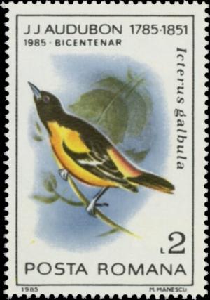 Colnect-5816-597-Baltimore-Oriole-Icterus-galbula.jpg