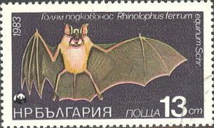 Colnect-615-563-Greater-Horse-shoe-Bat-Rhinolophus-ferrum-equinum.jpg