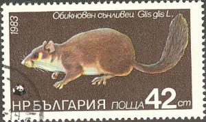 Colnect-615-566-Edible-Dormouse-Glis-glis.jpg