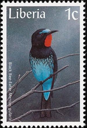 Colnect-745-915-Black-Bee-eater-Merops-gularis.jpg