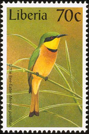 Colnect-745-925-Little-Bee-eater-Merops-pusillus.jpg