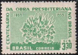 Colnect-770-007-Centenary-of-the-presbyterian-work-in-Brazil.jpg