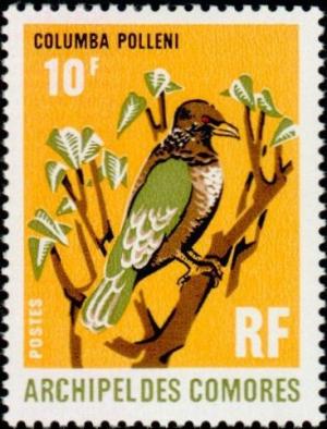 Colnect-787-748-Comoro-Olive-Pigeon-Columba-pollenii.jpg