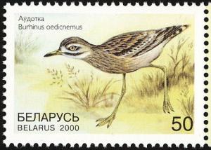 Colnect-857-421-Eurasian-Stone-Curlew-Burhinus-oedicnemus.jpg