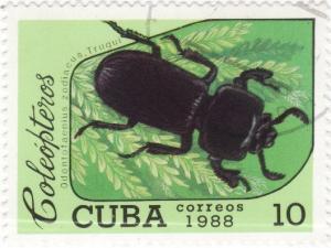 Colnect-935-533-Bess-Beetle-Odontotaenius-zodiacus.jpg