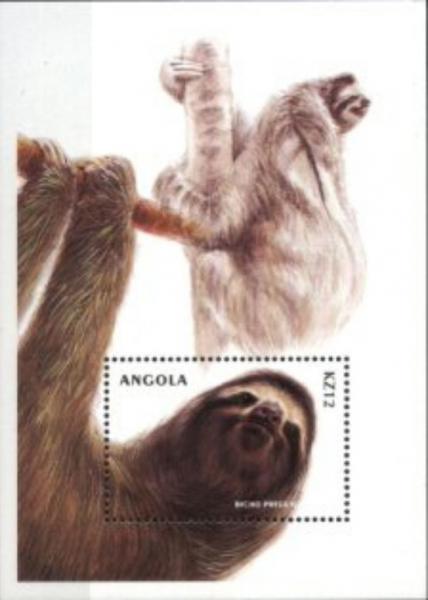 Colnect-5197-059-Pale-throated-Three-toed-Sloth-Bradypus-tridactylus.jpg