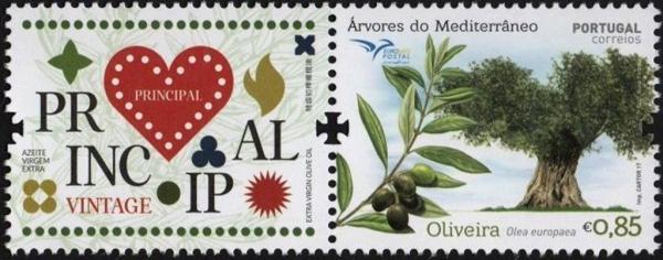 Colnect-4202-210-Olive-tree-Olea-europaea.jpg