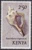 Colnect-4503-090-Trapezium-Horse-Conch-Fasciolaria-trapezium.jpg