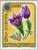 Colnect-137-291-Greater-Pasque-Flower-Pulsatilla-grandis.jpg