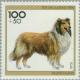 Colnect-154-127-F%C3%BCr-die-Jugend-Hunde-Collie.jpg