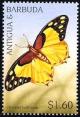 Colnect-2251-870-Hadrian-s-White-Charaxes-Charaxes-hadrianus.jpg