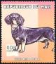 Colnect-2606-937-Short-hair-Miniature-Dachshund-Canis-lupus-familiaris.jpg