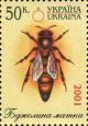 Colnect-3499-222-Bee-Apis-sp---Queen.jpg