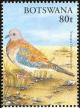 Colnect-5250-735-Laughing-Dove-Streptopelia-senegalensis.jpg