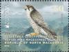 Colnect-5813-253-Lanner-Falcon-Falco-biarmicus.jpg