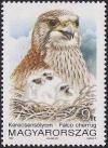 Colnect-609-587-Saker-Falcon-Falco-cherrug.jpg