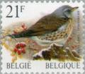 Colnect-187-388-Fieldfare-Turdus-pilaris.jpg