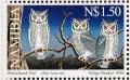 Colnect-867-804-Northern-White-faced-Owl%C2%A0Ptilopsis-leucotis.jpg