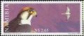 Colnect-867-812-Lanner-Falcon-Falco-biarmicus.jpg