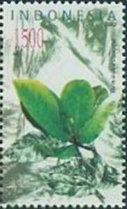 Colnect-2479-492-Flora-and-Fauna--Terminalia-catappa.jpg