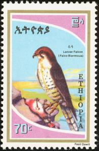 Colnect-2269-911-Lanner-Falcon-Falco-biarmicus.jpg