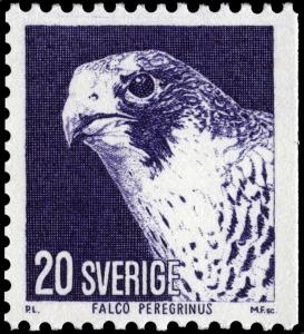 Colnect-4364-586-Peregrine-Falcon---Falco-peregrinus.jpg