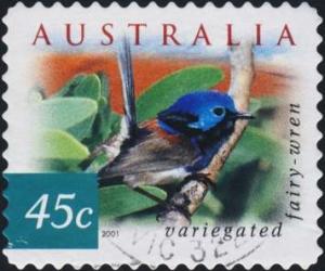 Colnect-1052-610-Variegated-Fairywren-Malurus-lamberti.jpg