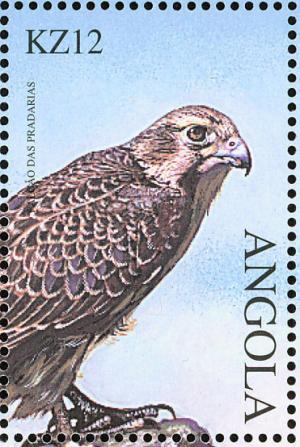 Colnect-1240-355-Lanner-Falcon-Falco-biarmicus.jpg