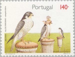 Colnect-179-199-Peregrine-Falcon-Falco-peregrinus-on-raised-Hide.jpg