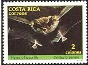 Colnect-2199-113-Wrinkle-faced-Bat-Centurio-senex.jpg