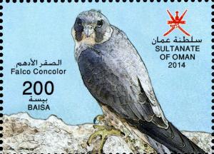 Colnect-2948-741-Sooty-Falcon-Falco-concolor.jpg