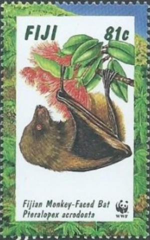 Colnect-3145-797-Fijian-Monkey-faced-Bat-Pteralopex-acrodonta.jpg