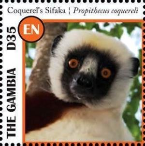 Colnect-3531-935-Crowned-Sifaka-Propithecus-coquereli.jpg